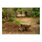 Wheel Barrow Next To Soil Heap