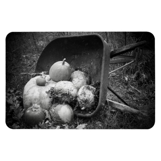 Wheel Barrow of Pumpkins Magnet (Horizontal)