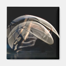 Wheel in Motion Magnet