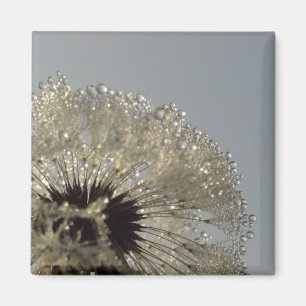 Wheel of droplets magnet