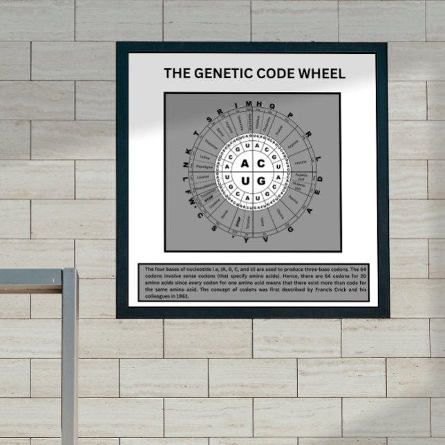 Wheel of genetic code  poster (Creator Uploaded)
