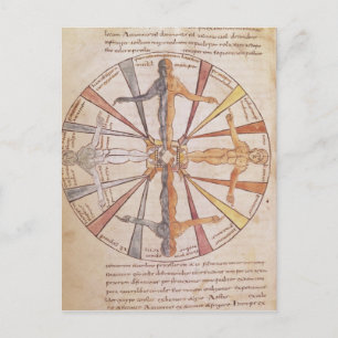 Wheel of the seasons and months postcard