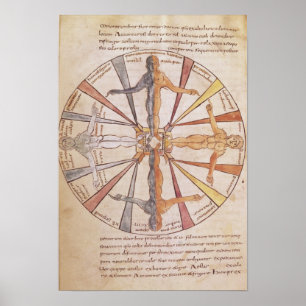 Wheel of the seasons and months poster