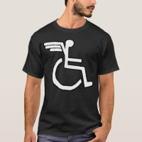 WHEELCHAIR FLIER!