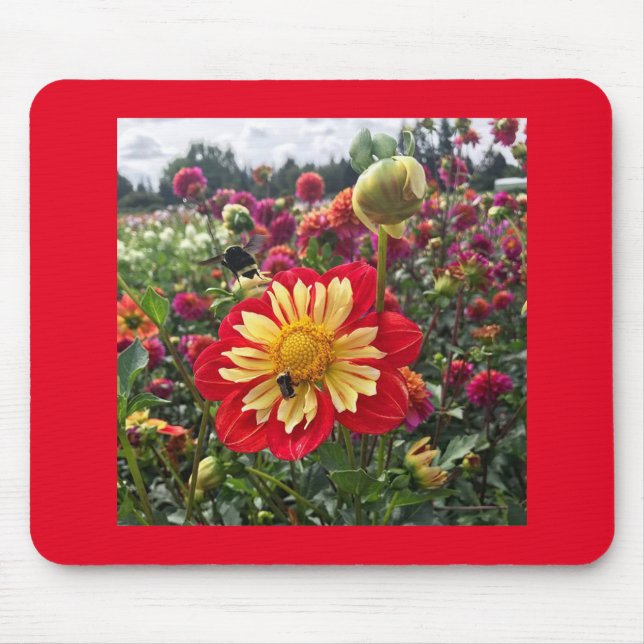 Wheels Dahlia Mouse Mat (Front)