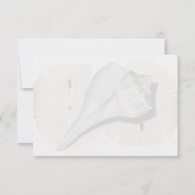 Whelk Shell Blank Note Cards (Front)
