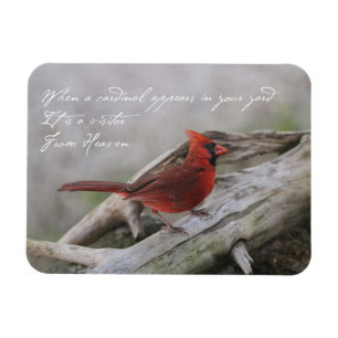 When a Cardinal appears in your yard… Magnet
