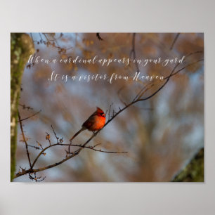 When a cardinal appears, photograph poster