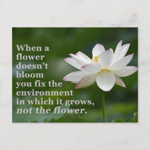 When a Flower Doesn't Bloom Postcard