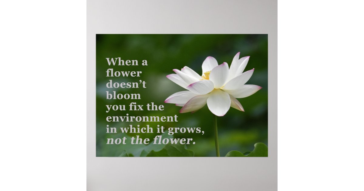 When a Flower Doesn't Bloom Poster Zazzle