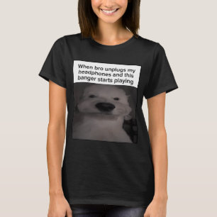 When Bro Unplugs My Headphones And This Banger Sta T-Shirt