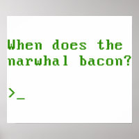 When Does the Narwhal Bacon VGA Reddit Question