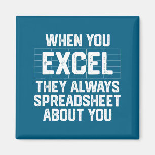 When excel spreadsheet about accounting magnet
