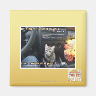 When flowers are not enough magnet