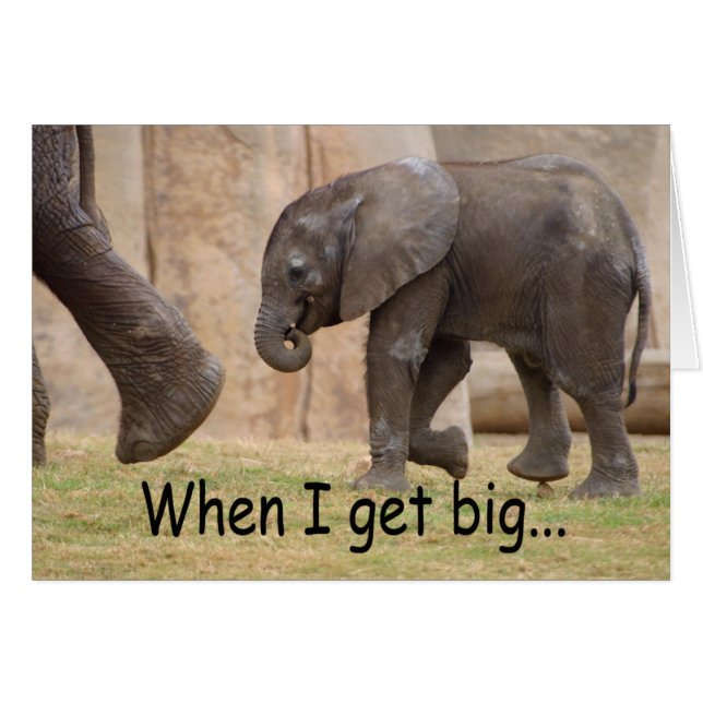 When I Get Big... (Front Horizontal)