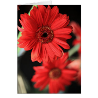 When I had an affair