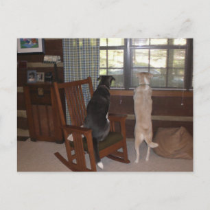 When is Master coming home? Veterinary Reminder Postcard
