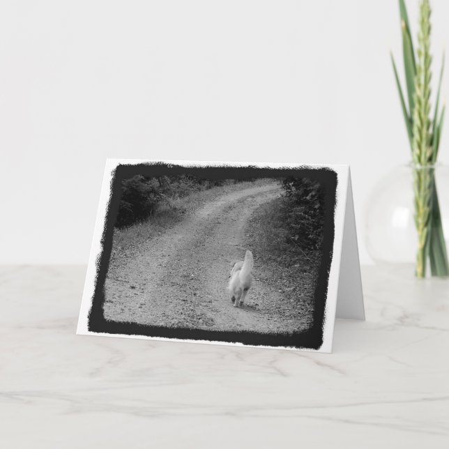 When It's Time Sympathy Card (Front)