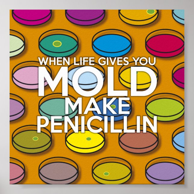 WHEN LIFE GIVES YOU MOLD MAKE PENICILLIN POSTER (Front)