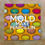 WHEN LIFE GIVES YOU MOLD MAKE PENICILLIN SCIENCE POSTER<br><div class="desc">When Life Gives You Mold Make Penicillin,  humorous science poster. A fun modern science inspired design to engage and brighten science teachers classrooms,  science students rooms or for anyone who is fascinated by science. Designed by Thisisnotme©</div>