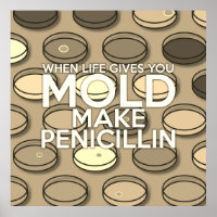 WHEN LIFE GIVES YOU MOLD MAKE PENICILLIN Vintage