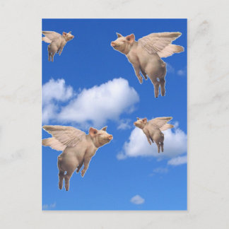 When Pigs Fly Postcard
