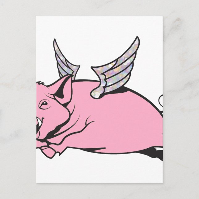 when pigs fly postcard (Front)