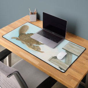 When Squirrels Dream Desk Mat
