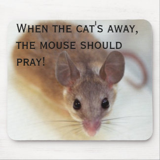When the cat's away - mousepad