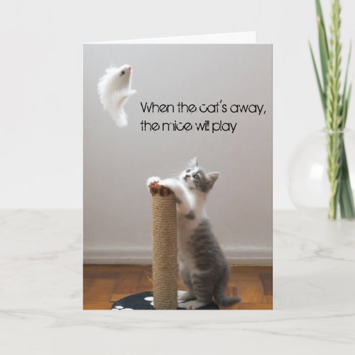 When the Cat's Away, The Mice Will Play Card Zazzle.co.uk