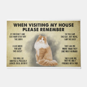 When Visiting My House Please Remember The Cat Lov Doormat