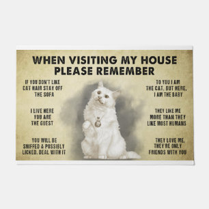 When Visiting My House Please Remember The Cat Lov Doormat