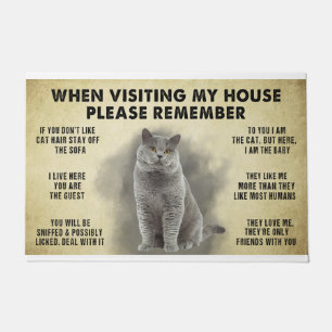 When Visiting My House Please Remember The Cat Lov Doormat