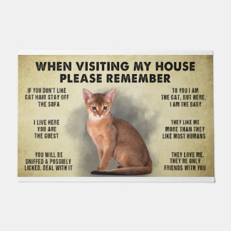 When Visiting My House Please Remember The Cat Lov Doormat