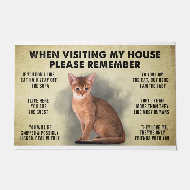 When Visiting My House Please Remember The Cat Lov Doormat (Front)