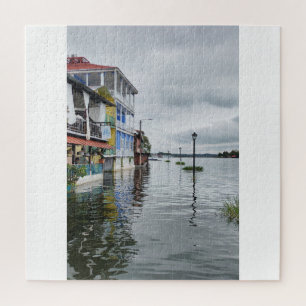 When water meets life Puzzle