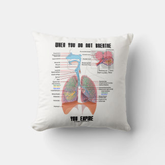 When You Do Not Breathe Expire Respiratory System Cushion