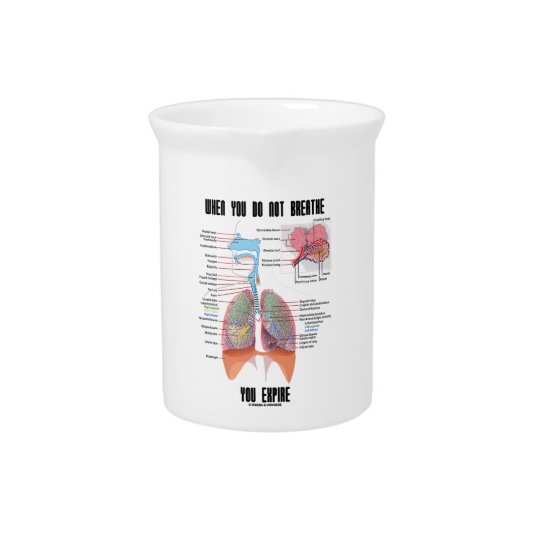 When You Do Not Breathe Expire Respiratory System Pitcher