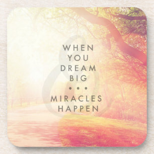 When You Dream Coaster