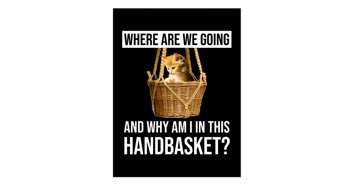 Where Are We Going & Why Am I In This Handbasket? Postcard Zazzle.co.uk