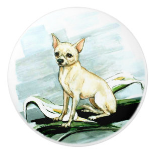 Where Are You???? Ceramic Knob