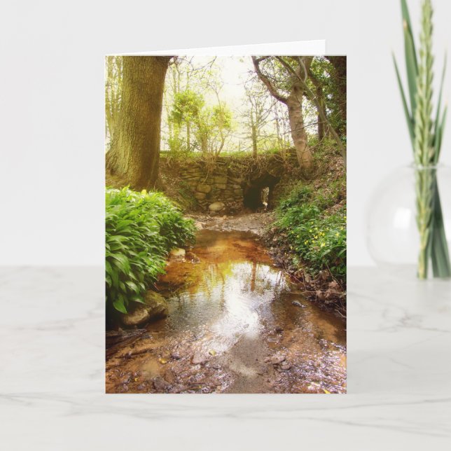 Where fairies play card (Front)