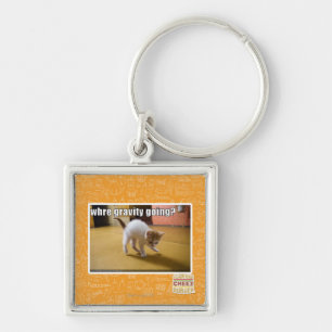 Where gravity going? key ring