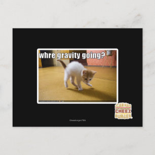 Where gravity going? postcard