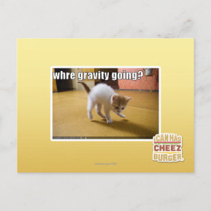 Where gravity going? postcard