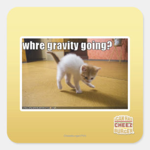 Where gravity going? square sticker