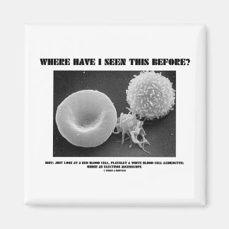Where Have I Seen This Before? Blood Cells Magnet