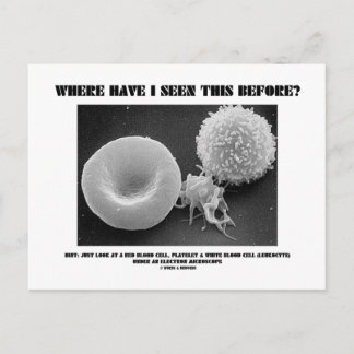 Where Have I Seen This Before? Blood Cells Postcard