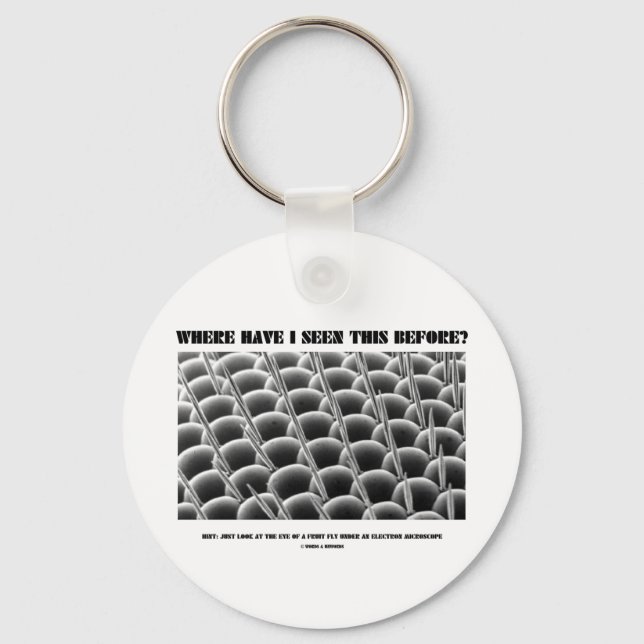 Where Have I Seen This Before? Eye Of Fruit Fly Key Ring (Front)