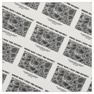 Where Have I Seen This Before? Vascular Bundle Fabric